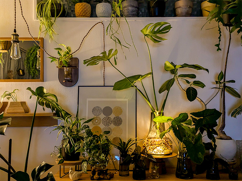 GLOAK TABLE LAMP