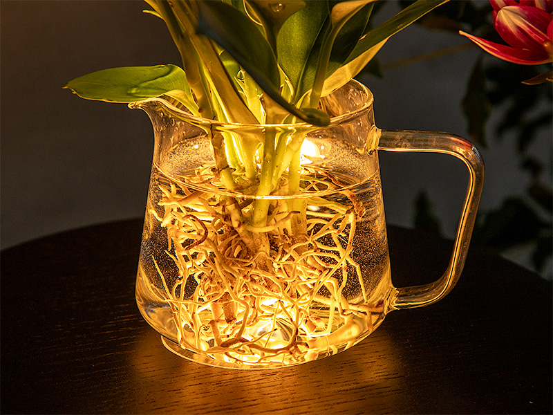 GLOAK TABLE LAMP